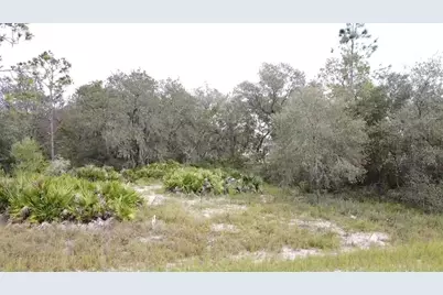 1405 Sarasota Court, Poinciana, FL 34759 - Photo 4
