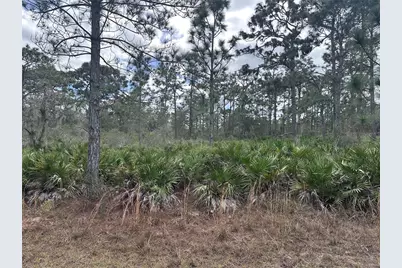 0 Allamanda Lot 11 Drive, Indian Lake Estates, FL 33855 - Photo 8