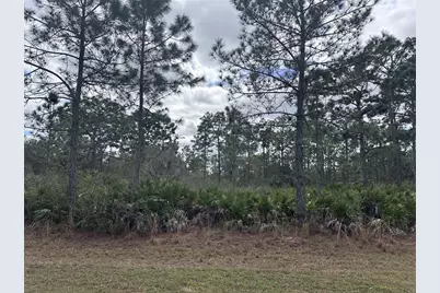 0 Allamanda Lot 11 Drive, Indian Lake Estates, FL 33855 - Photo 2