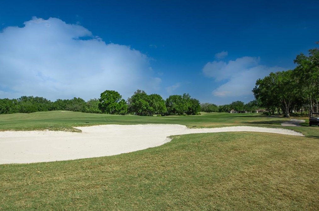 1306 Harbor Ridge Dr, Kissimmee FL 34759-6211 exterior