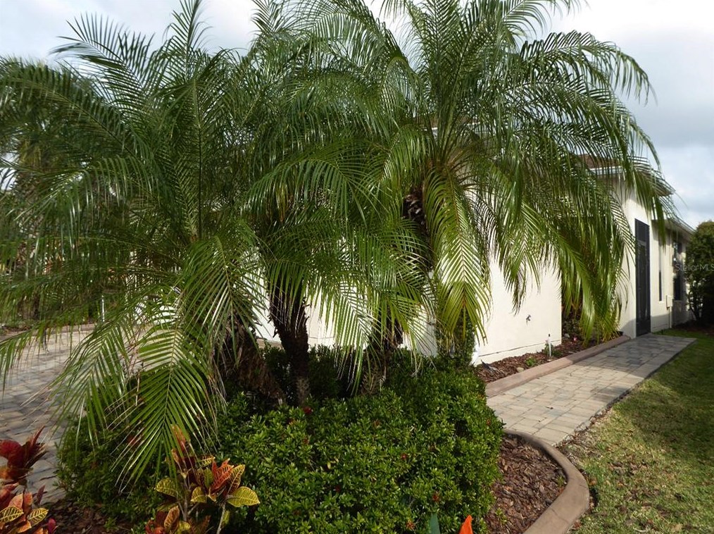 1306 Harbor Ridge Dr, Kissimmee FL 34759-6211 exterior