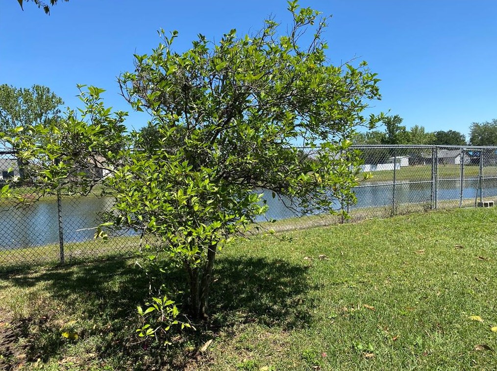 1525 Colony Ave, Kissimmee FL  34744-4013 exterior