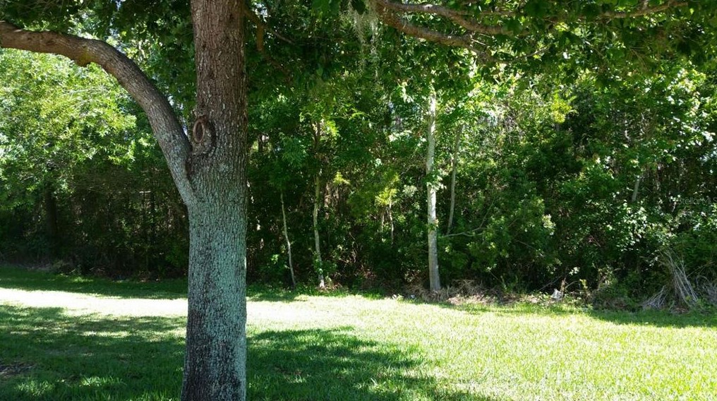 6414 Goldenrod Rd, Orlando, FL 32822-3412