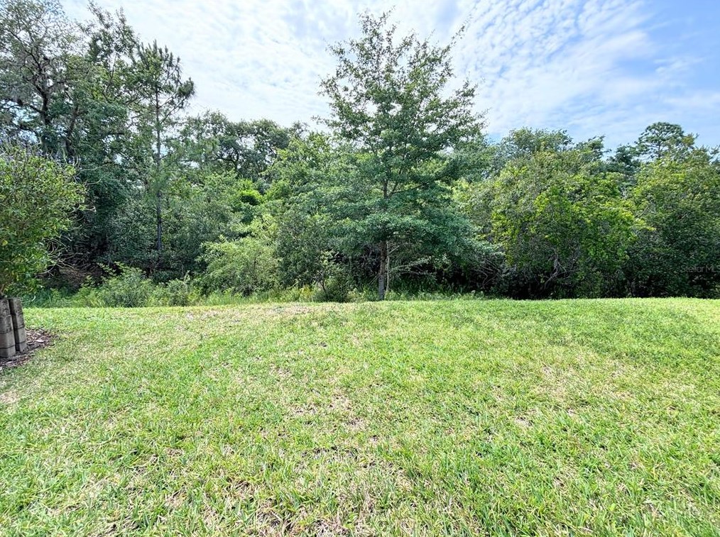 385 Scripps Ranch Rd, Kissimmee, FL 34759-3311