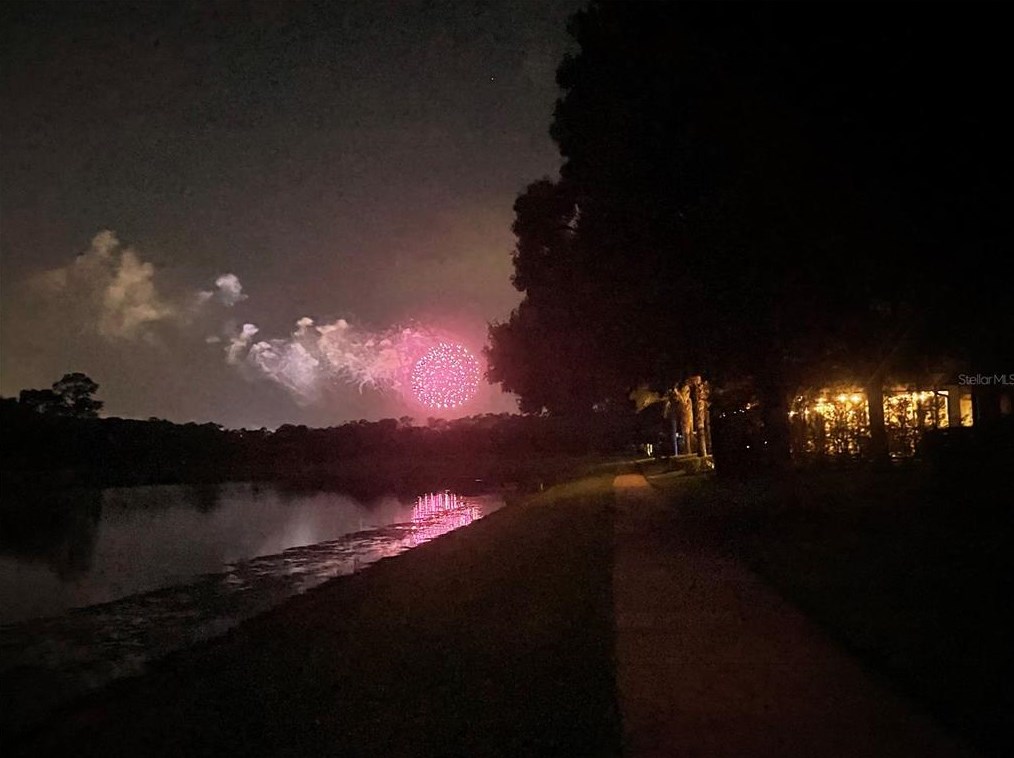 11746 Aldendale St, Orlando FL  32836-8854 exterior