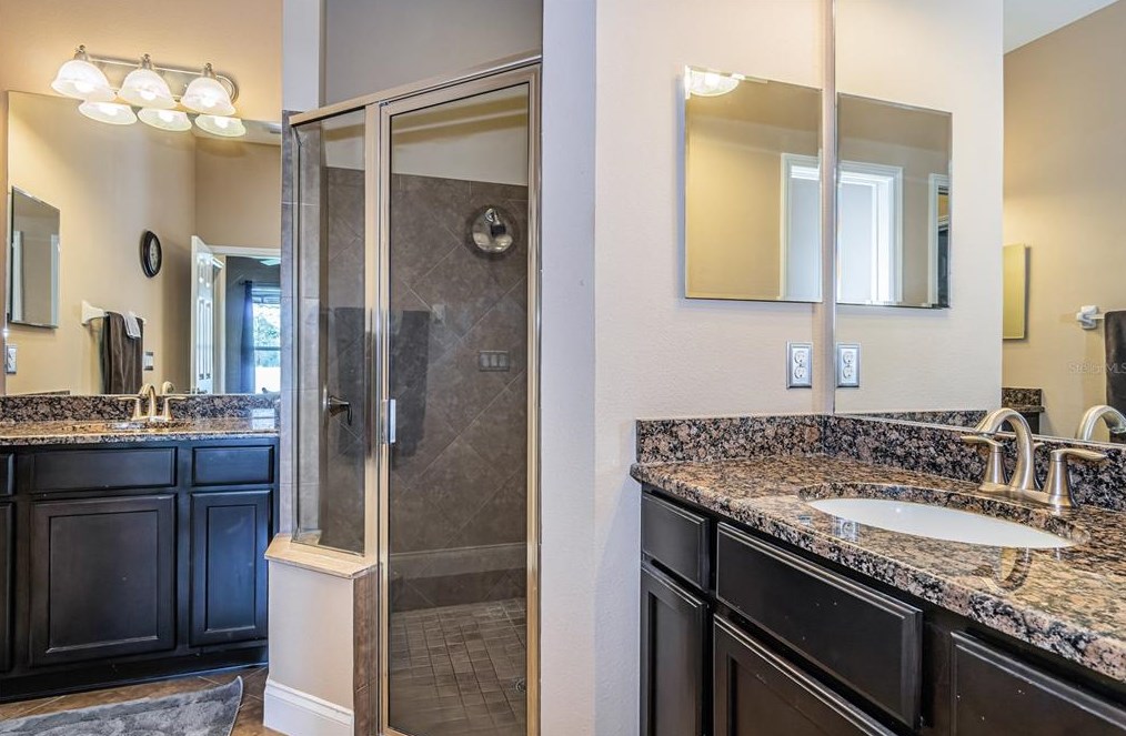 20837 Amanda Oak Ct, Land O Lakes FL 34638-4349 exterior