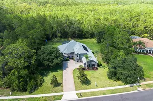 14121 Bella Ln, Orlando, FL 32832 - Photo 4