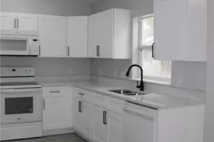 411 Gannet Ct, Kissimmee, FL 34759 - Photo 4