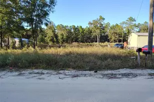 [Address not provided], Dunnellon, FL 34432 - Photo 1