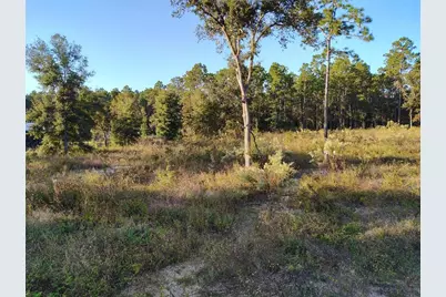 [Address not provided], Dunnellon, FL 34432 - Photo 2