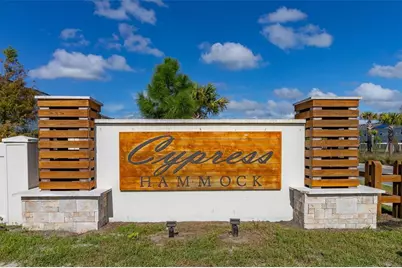 4919 Conifer Cone Drive, Kissimmee, FL 34746 - Photo 46