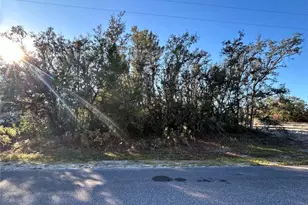 0 Amero Ln, Spring Hill, FL 34609 - Photo 1