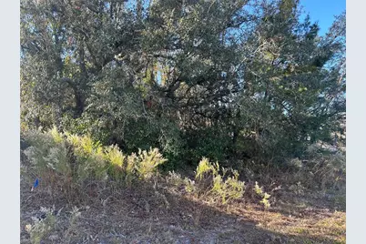 0 Amero Lane #13, Spring Hill, FL 34609 - Photo 4