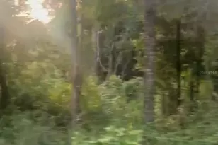 NW 20th St, Ocala, FL 34482 - Photo 1