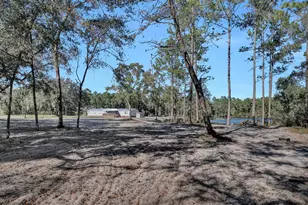 141 Woods Rd, San Mateo, FL 32187 - Photo 48