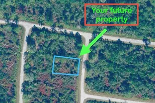 7425 Happyface St, Sebring, FL 33872 - Photo 2