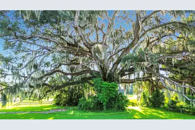 1281 N Timucuan Trail, Inverness, FL 34453 - Photo 52