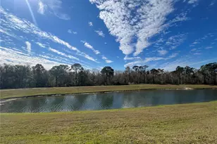 8557 La Isla Dr, Kissimmee, FL 34747 - Photo 60