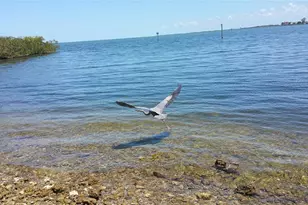 6035 Sea Ranch Dr, Hudson, FL 34667 - Photo 40