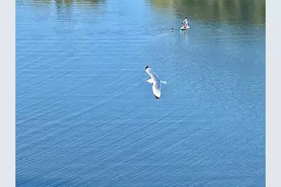 6035 Sea Ranch Drive #901, Hudson, FL 34667 - Photo 46