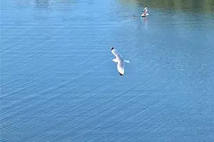 6035 Sea Ranch Dr, Hudson, FL 34667 - Photo 46