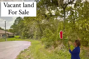 Tbd, Ocala, FL 34472 - Photo 1