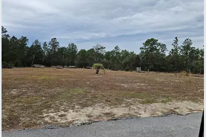 Lot 2 SW Little Cliffs Drive, Dunnellon, FL 34431 - Photo 1