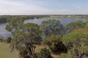 3412 Lake Diane Rd, Tavares, FL 32778 - Photo 4