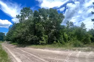 SW 156th Pl, Dunnellon, FL 34432 - Photo 1