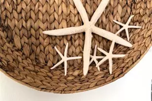 3806 Gulf of Mexico Dr, Longboat Key, FL 34228 - Photo 10