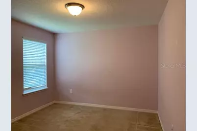 3742 Maidencain Street, Clermont, FL 34714 - Photo 12