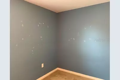 3742 Maidencain Street, Clermont, FL 34714 - Photo 16