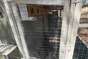 539 Libby Rd, Babson Park, FL 33827 - Photo 56