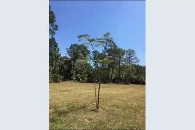 2370 Thacker Trail, Kissimmee, FL 34747 - Photo 1