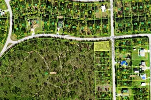 12397 Minnesota Ave, Punta Gorda, FL 33955 - Photo 1