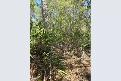 Rainbow Court, Poinciana, FL 34759 - Photo 8