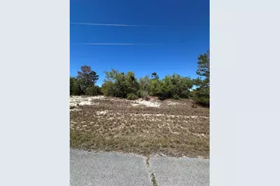 1386 Homosassa Drive, Kissimmee, FL 34759 - Photo 2