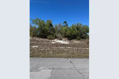 1386 Homosassa Drive, Kissimmee, FL 34759 - Photo 1