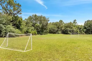 2801 Palmyra Ct, Saint Cloud, FL 34772 - Photo 36