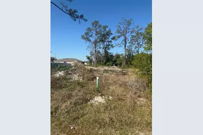 1302 Congo Court, Kissimmee, FL 34759 - Photo 6