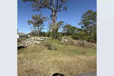 1302 Congo Court, Kissimmee, FL 34759 - Photo 1