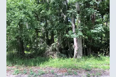 Keefer Trail, Kissimmee, FL 34747 - Photo 6