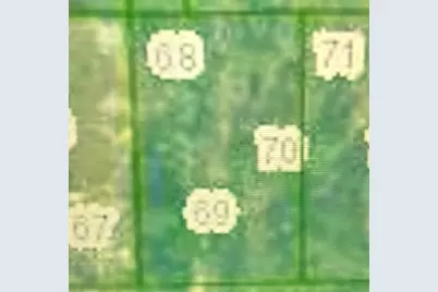 N/A, Interlachen, FL 32148 - Photo 2