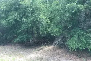 10161 N Dyal Dr, Citrus Springs, FL 34434 - Photo 1