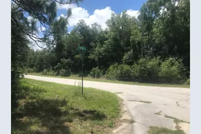 10161 N Dyal Drive, Citrus Springs, FL 34434 - Photo 2