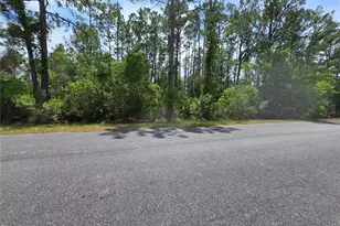 00 W Bluebell Ave, Eustis, FL 32736 - Photo 1