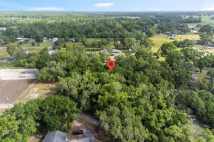 6005 Ike Smith Rd, Plant City, FL 33565 - Photo 40