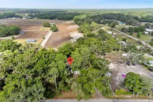 6005 Ike Smith Rd, Plant City, FL 33565 - Photo 36