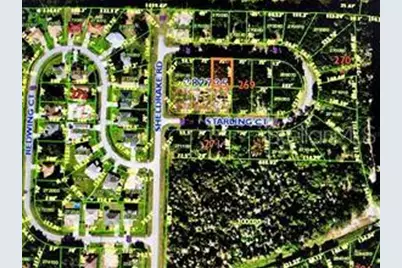 204 Starling Court, Poinciana, FL 34759 - Photo 1