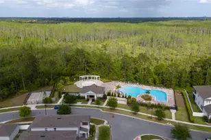 11162 Hanlon Ter Aly, Winter Garden, FL 34787 - Photo 46